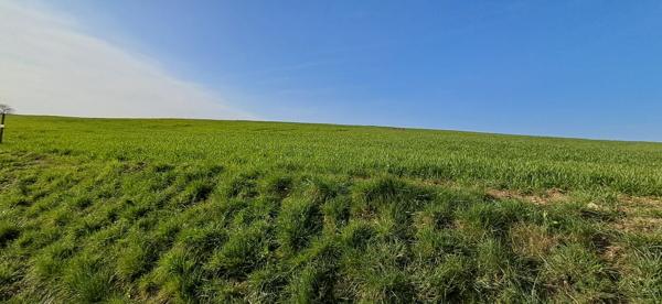 Terrain dans Vendresse