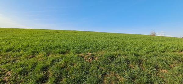 Terrain dans Vendresse