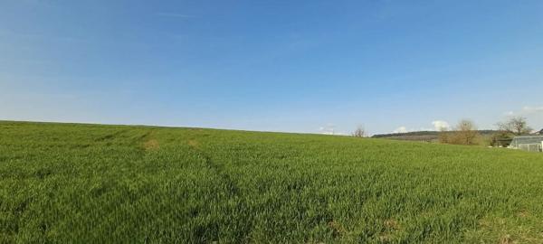 Terrain dans Vendresse