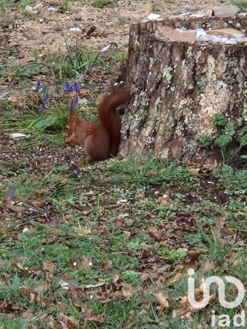 Terrain à vendre 588 m² Saint-Hilaire-de-Riez