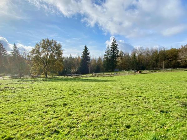 terrain plat 1000m²