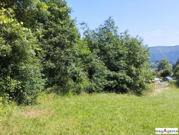 Terrain à FLORAC TROIS RIVIERES, 48400 - 3096m²