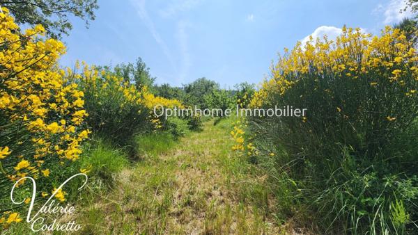 À VENDRE – VILLA EN PROVENCE – 200 m² – TERRAIN 11 000 m²