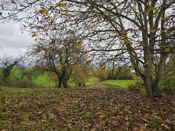 Maison rurale à louer à Saint-Aubin-du-Désert en Mayenne (53700), ref : 1384