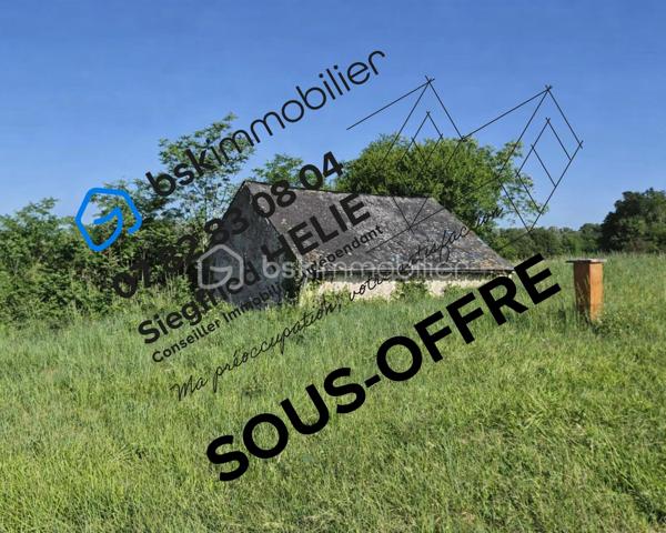 À découvrir : un magnifique terrain de loisirs de 9 060 m², situé sur la commune d’Azay-Le-Rideau en zone naturelle non constructible, il est idéal pour profiter de la nature, accueillir des animaux ou pratiquer diverses activités de plein air. 
🏡 Grange de 54 m² en pierre sur 2 niveaux (108 m² exploitables)
Cette grange offre un beau potentiel d’aménagement. Des travaux de rénovation seront nécessaires pour l’exploiter pleinement :
•	la toiture doit être rénovée,
•	le plancher séparant les deux niveaux doit être renforcé.
Son volume et son accès direct aux caves en font un ensemble rare.
🕳️ Caves – plus de 120 m² d’espaces naturels
Un véritable atout : quatre caves, dont trois accessibles directement depuis la grange, offrant fraîcheur, caractère et de multiples possibilités d’usage.
•	Cave de 12 m² avec puits et cheminée
•	Cave de 12 m² 
•	Grande cave de 75 m² environ avec 2entrées/sorties
•	Cave de 25 m² environ avec un four à pain en bon état
Ces espaces troglodytiques constituent un environnement naturel exceptionnel, idéal pour du stockage, un atelier, un espace de dégustation ou tout autre projet de loisirs.
🌳 Un cadre naturel privilégié
Le terrain, entièrement dédié aux activités de plein air, permet :
•	d’accueillir des animaux,
•	de créer un potager grâce au puits,
•	de profiter d’un vaste espace de détente,
•	d’imaginer divers aménagements de loisirs.
💡 Potentiel et rentabilité
Ce bien atypique peut également offrir une rentabilité locative :
•	une grange naturellement fraîche en été,
•	plus de 120 m² de caves tempérées toute l’année,
•	un terrain de 9 060 m² pour activités extérieures.
Un bien atypique et plein de possibilités, idéal pour ceux qui recherchent un espace à façonner selon leurs envies.