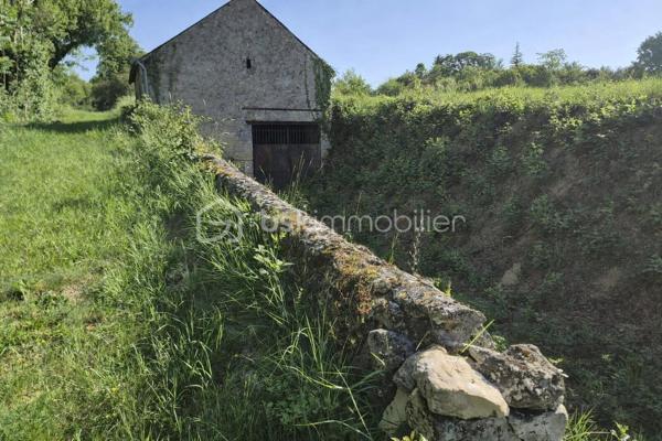 À découvrir : un magnifique terrain de loisirs de 9 060 m², situé sur la commune d’Azay-Le-Rideau en zone naturelle non constructible, il est idéal pour profiter de la nature, accueillir des animaux ou pratiquer diverses activités de plein air. 
🏡 Grange de 54 m² en pierre sur 2 niveaux (108 m² exploitables)
Cette grange offre un beau potentiel d’aménagement. Des travaux de rénovation seront nécessaires pour l’exploiter pleinement :
•	la toiture doit être rénovée,
•	le plancher séparant les deux niveaux doit être renforcé.
Son volume et son accès direct aux caves en font un ensemble rare.
🕳️ Caves – plus de 120 m² d’espaces naturels
Un véritable atout : quatre caves, dont trois accessibles directement depuis la grange, offrant fraîcheur, caractère et de multiples possibilités d’usage.
•	Cave de 12 m² avec puits et cheminée
•	Cave de 12 m² 
•	Grande cave de 75 m² environ avec 2entrées/sorties
•	Cave de 25 m² environ avec un four à pain en bon état
Ces espaces troglodytiques constituent un environnement naturel exceptionnel, idéal pour du stockage, un atelier, un espace de dégustation ou tout autre projet de loisirs.
🌳 Un cadre naturel privilégié
Le terrain, entièrement dédié aux activités de plein air, permet :
•	d’accueillir des animaux,
•	de créer un potager grâce au puits,
•	de profiter d’un vaste espace de détente,
•	d’imaginer divers aménagements de loisirs.
💡 Potentiel et rentabilité
Ce bien atypique peut également offrir une rentabilité locative :
•	une grange naturellement fraîche en été,
•	plus de 120 m² de caves tempérées toute l’année,
•	un terrain de 9 060 m² pour activités extérieures.
Un bien atypique et plein de possibilités, idéal pour ceux qui recherchent un espace à façonner selon leurs envies.