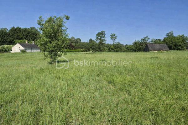 À découvrir : un magnifique terrain de loisirs de 9 060 m², situé sur la commune d’Azay-Le-Rideau en zone naturelle non constructible, il est idéal pour profiter de la nature, accueillir des animaux ou pratiquer diverses activités de plein air. 
🏡 Grange de 54 m² en pierre sur 2 niveaux (108 m² exploitables)
Cette grange offre un beau potentiel d’aménagement. Des travaux de rénovation seront nécessaires pour l’exploiter pleinement :
•	la toiture doit être rénovée,
•	le plancher séparant les deux niveaux doit être renforcé.
Son volume et son accès direct aux caves en font un ensemble rare.
🕳️ Caves – plus de 120 m² d’espaces naturels
Un véritable atout : quatre caves, dont trois accessibles directement depuis la grange, offrant fraîcheur, caractère et de multiples possibilités d’usage.
•	Cave de 12 m² avec puits et cheminée
•	Cave de 12 m² 
•	Grande cave de 75 m² environ avec 2entrées/sorties
•	Cave de 25 m² environ avec un four à pain en bon état
Ces espaces troglodytiques constituent un environnement naturel exceptionnel, idéal pour du stockage, un atelier, un espace de dégustation ou tout autre projet de loisirs.
🌳 Un cadre naturel privilégié
Le terrain, entièrement dédié aux activités de plein air, permet :
•	d’accueillir des animaux,
•	de créer un potager grâce au puits,
•	de profiter d’un vaste espace de détente,
•	d’imaginer divers aménagements de loisirs.
💡 Potentiel et rentabilité
Ce bien atypique peut également offrir une rentabilité locative :
•	une grange naturellement fraîche en été,
•	plus de 120 m² de caves tempérées toute l’année,
•	un terrain de 9 060 m² pour activités extérieures.
Un bien atypique et plein de possibilités, idéal pour ceux qui recherchent un espace à façonner selon leurs envies.