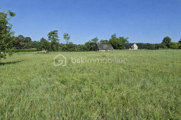 À découvrir : un magnifique terrain de loisirs de 9 060 m², situé sur la commune d’Azay-Le-Rideau en zone naturelle non constructible, il est idéal pour profiter de la nature, accueillir des animaux ou pratiquer diverses activités de plein air. 
🏡 Grange de 54 m² en pierre sur 2 niveaux (108 m² exploitables)
Cette grange offre un beau potentiel d’aménagement. Des travaux de rénovation seront nécessaires pour l’exploiter pleinement :
•	la toiture doit être rénovée,
•	le plancher séparant les deux niveaux doit être renforcé.
Son volume et son accès direct aux caves en font un ensemble rare.
🕳️ Caves – plus de 120 m² d’espaces naturels
Un véritable atout : quatre caves, dont trois accessibles directement depuis la grange, offrant fraîcheur, caractère et de multiples possibilités d’usage.
•	Cave de 12 m² avec puits et cheminée
•	Cave de 12 m² 
•	Grande cave de 75 m² environ avec 2entrées/sorties
•	Cave de 25 m² environ avec un four à pain en bon état
Ces espaces troglodytiques constituent un environnement naturel exceptionnel, idéal pour du stockage, un atelier, un espace de dégustation ou tout autre projet de loisirs.
🌳 Un cadre naturel privilégié
Le terrain, entièrement dédié aux activités de plein air, permet :
•	d’accueillir des animaux,
•	de créer un potager grâce au puits,
•	de profiter d’un vaste espace de détente,
•	d’imaginer divers aménagements de loisirs.
💡 Potentiel et rentabilité
Ce bien atypique peut également offrir une rentabilité locative :
•	une grange naturellement fraîche en été,
•	plus de 120 m² de caves tempérées toute l’année,
•	un terrain de 9 060 m² pour activités extérieures.
Un bien atypique et plein de possibilités, idéal pour ceux qui recherchent un espace à façonner selon leurs envies.