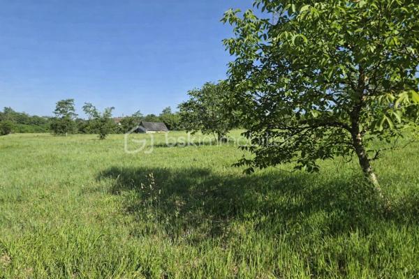À découvrir : un magnifique terrain de loisirs de 9 060 m², situé sur la commune d’Azay-Le-Rideau en zone naturelle non constructible, il est idéal pour profiter de la nature, accueillir des animaux ou pratiquer diverses activités de plein air. 
🏡 Grange de 54 m² en pierre sur 2 niveaux (108 m² exploitables)
Cette grange offre un beau potentiel d’aménagement. Des travaux de rénovation seront nécessaires pour l’exploiter pleinement :
•	la toiture doit être rénovée,
•	le plancher séparant les deux niveaux doit être renforcé.
Son volume et son accès direct aux caves en font un ensemble rare.
🕳️ Caves – plus de 120 m² d’espaces naturels
Un véritable atout : quatre caves, dont trois accessibles directement depuis la grange, offrant fraîcheur, caractère et de multiples possibilités d’usage.
•	Cave de 12 m² avec puits et cheminée
•	Cave de 12 m² 
•	Grande cave de 75 m² environ avec 2entrées/sorties
•	Cave de 25 m² environ avec un four à pain en bon état
Ces espaces troglodytiques constituent un environnement naturel exceptionnel, idéal pour du stockage, un atelier, un espace de dégustation ou tout autre projet de loisirs.
🌳 Un cadre naturel privilégié
Le terrain, entièrement dédié aux activités de plein air, permet :
•	d’accueillir des animaux,
•	de créer un potager grâce au puits,
•	de profiter d’un vaste espace de détente,
•	d’imaginer divers aménagements de loisirs.
💡 Potentiel et rentabilité
Ce bien atypique peut également offrir une rentabilité locative :
•	une grange naturellement fraîche en été,
•	plus de 120 m² de caves tempérées toute l’année,
•	un terrain de 9 060 m² pour activités extérieures.
Un bien atypique et plein de possibilités, idéal pour ceux qui recherchent un espace à façonner selon leurs envies.
