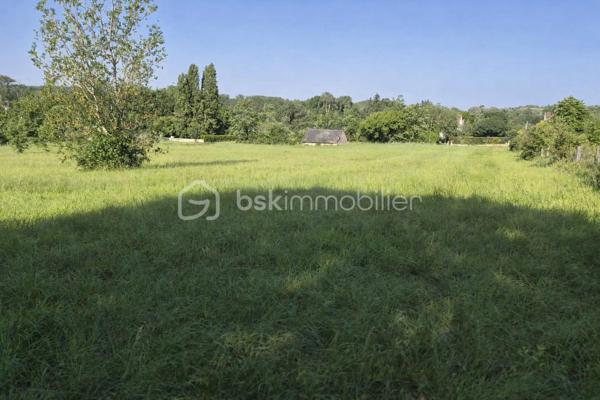 À découvrir : un magnifique terrain de loisirs de 9 060 m², situé sur la commune d’Azay-Le-Rideau en zone naturelle non constructible, il est idéal pour profiter de la nature, accueillir des animaux ou pratiquer diverses activités de plein air. 
🏡 Grange de 54 m² en pierre sur 2 niveaux (108 m² exploitables)
Cette grange offre un beau potentiel d’aménagement. Des travaux de rénovation seront nécessaires pour l’exploiter pleinement :
•	la toiture doit être rénovée,
•	le plancher séparant les deux niveaux doit être renforcé.
Son volume et son accès direct aux caves en font un ensemble rare.
🕳️ Caves – plus de 120 m² d’espaces naturels
Un véritable atout : quatre caves, dont trois accessibles directement depuis la grange, offrant fraîcheur, caractère et de multiples possibilités d’usage.
•	Cave de 12 m² avec puits et cheminée
•	Cave de 12 m² 
•	Grande cave de 75 m² environ avec 2entrées/sorties
•	Cave de 25 m² environ avec un four à pain en bon état
Ces espaces troglodytiques constituent un environnement naturel exceptionnel, idéal pour du stockage, un atelier, un espace de dégustation ou tout autre projet de loisirs.
🌳 Un cadre naturel privilégié
Le terrain, entièrement dédié aux activités de plein air, permet :
•	d’accueillir des animaux,
•	de créer un potager grâce au puits,
•	de profiter d’un vaste espace de détente,
•	d’imaginer divers aménagements de loisirs.
💡 Potentiel et rentabilité
Ce bien atypique peut également offrir une rentabilité locative :
•	une grange naturellement fraîche en été,
•	plus de 120 m² de caves tempérées toute l’année,
•	un terrain de 9 060 m² pour activités extérieures.
Un bien atypique et plein de possibilités, idéal pour ceux qui recherchent un espace à façonner selon leurs envies.