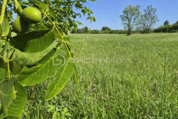 À découvrir : un magnifique terrain de loisirs de 9 060 m², situé sur la commune d’Azay-Le-Rideau en zone naturelle non constructible, il est idéal pour profiter de la nature, accueillir des animaux ou pratiquer diverses activités de plein air. 
🏡 Grange de 54 m² en pierre sur 2 niveaux (108 m² exploitables)
Cette grange offre un beau potentiel d’aménagement. Des travaux de rénovation seront nécessaires pour l’exploiter pleinement :
•	la toiture doit être rénovée,
•	le plancher séparant les deux niveaux doit être renforcé.
Son volume et son accès direct aux caves en font un ensemble rare.
🕳️ Caves – plus de 120 m² d’espaces naturels
Un véritable atout : quatre caves, dont trois accessibles directement depuis la grange, offrant fraîcheur, caractère et de multiples possibilités d’usage.
•	Cave de 12 m² avec puits et cheminée
•	Cave de 12 m² 
•	Grande cave de 75 m² environ avec 2entrées/sorties
•	Cave de 25 m² environ avec un four à pain en bon état
Ces espaces troglodytiques constituent un environnement naturel exceptionnel, idéal pour du stockage, un atelier, un espace de dégustation ou tout autre projet de loisirs.
🌳 Un cadre naturel privilégié
Le terrain, entièrement dédié aux activités de plein air, permet :
•	d’accueillir des animaux,
•	de créer un potager grâce au puits,
•	de profiter d’un vaste espace de détente,
•	d’imaginer divers aménagements de loisirs.
💡 Potentiel et rentabilité
Ce bien atypique peut également offrir une rentabilité locative :
•	une grange naturellement fraîche en été,
•	plus de 120 m² de caves tempérées toute l’année,
•	un terrain de 9 060 m² pour activités extérieures.
Un bien atypique et plein de possibilités, idéal pour ceux qui recherchent un espace à façonner selon leurs envies.