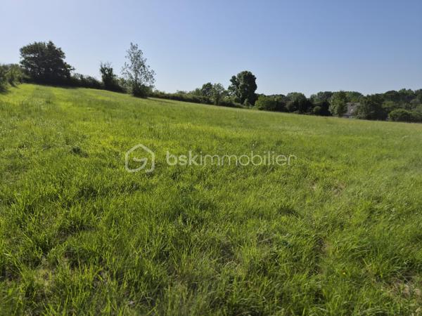 À découvrir : un magnifique terrain de loisirs de 9 060 m², situé sur la commune d’Azay-Le-Rideau en zone naturelle non constructible, il est idéal pour profiter de la nature, accueillir des animaux ou pratiquer diverses activités de plein air. 
🏡 Grange de 54 m² en pierre sur 2 niveaux (108 m² exploitables)
Cette grange offre un beau potentiel d’aménagement. Des travaux de rénovation seront nécessaires pour l’exploiter pleinement :
•	la toiture doit être rénovée,
•	le plancher séparant les deux niveaux doit être renforcé.
Son volume et son accès direct aux caves en font un ensemble rare.
🕳️ Caves – plus de 120 m² d’espaces naturels
Un véritable atout : quatre caves, dont trois accessibles directement depuis la grange, offrant fraîcheur, caractère et de multiples possibilités d’usage.
•	Cave de 12 m² avec puits et cheminée
•	Cave de 12 m² 
•	Grande cave de 75 m² environ avec 2entrées/sorties
•	Cave de 25 m² environ avec un four à pain en bon état
Ces espaces troglodytiques constituent un environnement naturel exceptionnel, idéal pour du stockage, un atelier, un espace de dégustation ou tout autre projet de loisirs.
🌳 Un cadre naturel privilégié
Le terrain, entièrement dédié aux activités de plein air, permet :
•	d’accueillir des animaux,
•	de créer un potager grâce au puits,
•	de profiter d’un vaste espace de détente,
•	d’imaginer divers aménagements de loisirs.
💡 Potentiel et rentabilité
Ce bien atypique peut également offrir une rentabilité locative :
•	une grange naturellement fraîche en été,
•	plus de 120 m² de caves tempérées toute l’année,
•	un terrain de 9 060 m² pour activités extérieures.
Un bien atypique et plein de possibilités, idéal pour ceux qui recherchent un espace à façonner selon leurs envies.