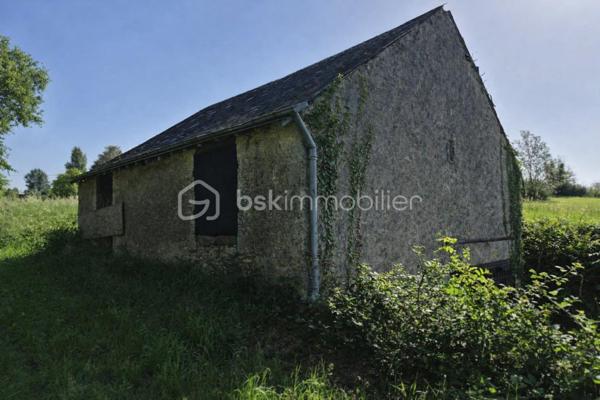 À découvrir : un magnifique terrain de loisirs de 9 060 m², situé sur la commune d’Azay-Le-Rideau en zone naturelle non constructible, il est idéal pour profiter de la nature, accueillir des animaux ou pratiquer diverses activités de plein air. 
🏡 Grange de 54 m² en pierre sur 2 niveaux (108 m² exploitables)
Cette grange offre un beau potentiel d’aménagement. Des travaux de rénovation seront nécessaires pour l’exploiter pleinement :
•	la toiture doit être rénovée,
•	le plancher séparant les deux niveaux doit être renforcé.
Son volume et son accès direct aux caves en font un ensemble rare.
🕳️ Caves – plus de 120 m² d’espaces naturels
Un véritable atout : quatre caves, dont trois accessibles directement depuis la grange, offrant fraîcheur, caractère et de multiples possibilités d’usage.
•	Cave de 12 m² avec puits et cheminée
•	Cave de 12 m² 
•	Grande cave de 75 m² environ avec 2entrées/sorties
•	Cave de 25 m² environ avec un four à pain en bon état
Ces espaces troglodytiques constituent un environnement naturel exceptionnel, idéal pour du stockage, un atelier, un espace de dégustation ou tout autre projet de loisirs.
🌳 Un cadre naturel privilégié
Le terrain, entièrement dédié aux activités de plein air, permet :
•	d’accueillir des animaux,
•	de créer un potager grâce au puits,
•	de profiter d’un vaste espace de détente,
•	d’imaginer divers aménagements de loisirs.
💡 Potentiel et rentabilité
Ce bien atypique peut également offrir une rentabilité locative :
•	une grange naturellement fraîche en été,
•	plus de 120 m² de caves tempérées toute l’année,
•	un terrain de 9 060 m² pour activités extérieures.
Un bien atypique et plein de possibilités, idéal pour ceux qui recherchent un espace à façonner selon leurs envies.