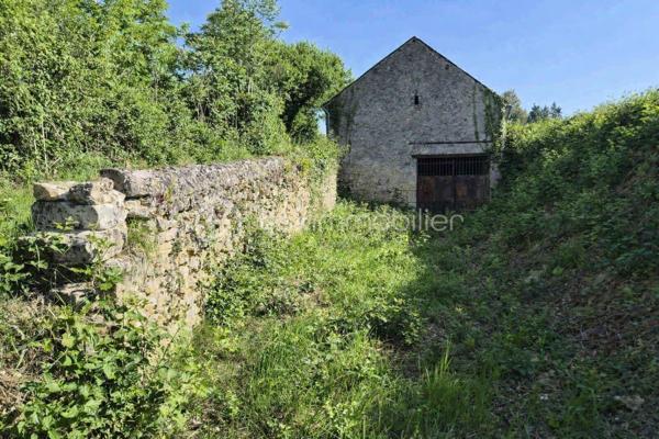 À découvrir : un magnifique terrain de loisirs de 9 060 m², situé sur la commune d’Azay-Le-Rideau en zone naturelle non constructible, il est idéal pour profiter de la nature, accueillir des animaux ou pratiquer diverses activités de plein air. 
🏡 Grange de 54 m² en pierre sur 2 niveaux (108 m² exploitables)
Cette grange offre un beau potentiel d’aménagement. Des travaux de rénovation seront nécessaires pour l’exploiter pleinement :
•	la toiture doit être rénovée,
•	le plancher séparant les deux niveaux doit être renforcé.
Son volume et son accès direct aux caves en font un ensemble rare.
🕳️ Caves – plus de 120 m² d’espaces naturels
Un véritable atout : quatre caves, dont trois accessibles directement depuis la grange, offrant fraîcheur, caractère et de multiples possibilités d’usage.
•	Cave de 12 m² avec puits et cheminée
•	Cave de 12 m² 
•	Grande cave de 75 m² environ avec 2entrées/sorties
•	Cave de 25 m² environ avec un four à pain en bon état
Ces espaces troglodytiques constituent un environnement naturel exceptionnel, idéal pour du stockage, un atelier, un espace de dégustation ou tout autre projet de loisirs.
🌳 Un cadre naturel privilégié
Le terrain, entièrement dédié aux activités de plein air, permet :
•	d’accueillir des animaux,
•	de créer un potager grâce au puits,
•	de profiter d’un vaste espace de détente,
•	d’imaginer divers aménagements de loisirs.
💡 Potentiel et rentabilité
Ce bien atypique peut également offrir une rentabilité locative :
•	une grange naturellement fraîche en été,
•	plus de 120 m² de caves tempérées toute l’année,
•	un terrain de 9 060 m² pour activités extérieures.
Un bien atypique et plein de possibilités, idéal pour ceux qui recherchent un espace à façonner selon leurs envies.