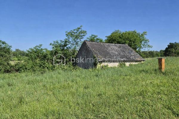 À découvrir : un magnifique terrain de loisirs de 9 060 m², situé sur la commune d’Azay-Le-Rideau en zone naturelle non constructible, il est idéal pour profiter de la nature, accueillir des animaux ou pratiquer diverses activités de plein air. 
🏡 Grange de 54 m² en pierre sur 2 niveaux (108 m² exploitables)
Cette grange offre un beau potentiel d’aménagement. Des travaux de rénovation seront nécessaires pour l’exploiter pleinement :
•	la toiture doit être rénovée,
•	le plancher séparant les deux niveaux doit être renforcé.
Son volume et son accès direct aux caves en font un ensemble rare.
🕳️ Caves – plus de 120 m² d’espaces naturels
Un véritable atout : quatre caves, dont trois accessibles directement depuis la grange, offrant fraîcheur, caractère et de multiples possibilités d’usage.
•	Cave de 12 m² avec puits et cheminée
•	Cave de 12 m² 
•	Grande cave de 75 m² environ avec 2entrées/sorties
•	Cave de 25 m² environ avec un four à pain en bon état
Ces espaces troglodytiques constituent un environnement naturel exceptionnel, idéal pour du stockage, un atelier, un espace de dégustation ou tout autre projet de loisirs.
🌳 Un cadre naturel privilégié
Le terrain, entièrement dédié aux activités de plein air, permet :
•	d’accueillir des animaux,
•	de créer un potager grâce au puits,
•	de profiter d’un vaste espace de détente,
•	d’imaginer divers aménagements de loisirs.
💡 Potentiel et rentabilité
Ce bien atypique peut également offrir une rentabilité locative :
•	une grange naturellement fraîche en été,
•	plus de 120 m² de caves tempérées toute l’année,
•	un terrain de 9 060 m² pour activités extérieures.
Un bien atypique et plein de possibilités, idéal pour ceux qui recherchent un espace à façonner selon leurs envies.
