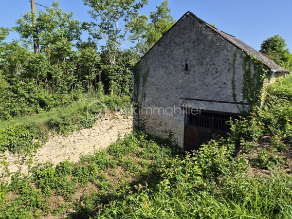 À découvrir : un magnifique terrain de loisirs de 9 060 m², situé sur la commune d’Azay-Le-Rideau en zone naturelle non constructible, il est idéal pour profiter de la nature, accueillir des animaux ou pratiquer diverses activités de plein air. 
🏡 Grange de 54 m² en pierre sur 2 niveaux (108 m² exploitables)
Cette grange offre un beau potentiel d’aménagement. Des travaux de rénovation seront nécessaires pour l’exploiter pleinement :
•	la toiture doit être rénovée,
•	le plancher séparant les deux niveaux doit être renforcé.
Son volume et son accès direct aux caves en font un ensemble rare.
🕳️ Caves – plus de 120 m² d’espaces naturels
Un véritable atout : quatre caves, dont trois accessibles directement depuis la grange, offrant fraîcheur, caractère et de multiples possibilités d’usage.
•	Cave de 12 m² avec puits et cheminée
•	Cave de 12 m² 
•	Grande cave de 75 m² environ avec 2entrées/sorties
•	Cave de 25 m² environ avec un four à pain en bon état
Ces espaces troglodytiques constituent un environnement naturel exceptionnel, idéal pour du stockage, un atelier, un espace de dégustation ou tout autre projet de loisirs.
🌳 Un cadre naturel privilégié
Le terrain, entièrement dédié aux activités de plein air, permet :
•	d’accueillir des animaux,
•	de créer un potager grâce au puits,
•	de profiter d’un vaste espace de détente,
•	d’imaginer divers aménagements de loisirs.
💡 Potentiel et rentabilité
Ce bien atypique peut également offrir une rentabilité locative :
•	une grange naturellement fraîche en été,
•	plus de 120 m² de caves tempérées toute l’année,
•	un terrain de 9 060 m² pour activités extérieures.
Un bien atypique et plein de possibilités, idéal pour ceux qui recherchent un espace à façonner selon leurs envies.