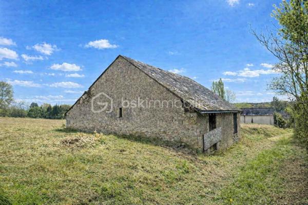 À découvrir : un magnifique terrain de loisirs de 9 060 m², situé sur la commune d’Azay-Le-Rideau en zone naturelle non constructible, il est idéal pour profiter de la nature, accueillir des animaux ou pratiquer diverses activités de plein air. 
🏡 Grange de 54 m² en pierre sur 2 niveaux (108 m² exploitables)
Cette grange offre un beau potentiel d’aménagement. Des travaux de rénovation seront nécessaires pour l’exploiter pleinement :
•	la toiture doit être rénovée,
•	le plancher séparant les deux niveaux doit être renforcé.
Son volume et son accès direct aux caves en font un ensemble rare.
🕳️ Caves – plus de 120 m² d’espaces naturels
Un véritable atout : quatre caves, dont trois accessibles directement depuis la grange, offrant fraîcheur, caractère et de multiples possibilités d’usage.
•	Cave de 12 m² avec puits et cheminée
•	Cave de 12 m² 
•	Grande cave de 75 m² environ avec 2entrées/sorties
•	Cave de 25 m² environ avec un four à pain en bon état
Ces espaces troglodytiques constituent un environnement naturel exceptionnel, idéal pour du stockage, un atelier, un espace de dégustation ou tout autre projet de loisirs.
🌳 Un cadre naturel privilégié
Le terrain, entièrement dédié aux activités de plein air, permet :
•	d’accueillir des animaux,
•	de créer un potager grâce au puits,
•	de profiter d’un vaste espace de détente,
•	d’imaginer divers aménagements de loisirs.
💡 Potentiel et rentabilité
Ce bien atypique peut également offrir une rentabilité locative :
•	une grange naturellement fraîche en été,
•	plus de 120 m² de caves tempérées toute l’année,
•	un terrain de 9 060 m² pour activités extérieures.
Un bien atypique et plein de possibilités, idéal pour ceux qui recherchent un espace à façonner selon leurs envies.