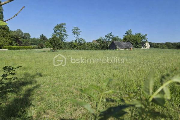 À découvrir : un magnifique terrain de loisirs de 9 060 m², situé sur la commune d’Azay-Le-Rideau en zone naturelle non constructible, il est idéal pour profiter de la nature, accueillir des animaux ou pratiquer diverses activités de plein air. 
🏡 Grange de 54 m² en pierre sur 2 niveaux (108 m² exploitables)
Cette grange offre un beau potentiel d’aménagement. Des travaux de rénovation seront nécessaires pour l’exploiter pleinement :
•	la toiture doit être rénovée,
•	le plancher séparant les deux niveaux doit être renforcé.
Son volume et son accès direct aux caves en font un ensemble rare.
🕳️ Caves – plus de 120 m² d’espaces naturels
Un véritable atout : quatre caves, dont trois accessibles directement depuis la grange, offrant fraîcheur, caractère et de multiples possibilités d’usage.
•	Cave de 12 m² avec puits et cheminée
•	Cave de 12 m² 
•	Grande cave de 75 m² environ avec 2entrées/sorties
•	Cave de 25 m² environ avec un four à pain en bon état
Ces espaces troglodytiques constituent un environnement naturel exceptionnel, idéal pour du stockage, un atelier, un espace de dégustation ou tout autre projet de loisirs.
🌳 Un cadre naturel privilégié
Le terrain, entièrement dédié aux activités de plein air, permet :
•	d’accueillir des animaux,
•	de créer un potager grâce au puits,
•	de profiter d’un vaste espace de détente,
•	d’imaginer divers aménagements de loisirs.
💡 Potentiel et rentabilité
Ce bien atypique peut également offrir une rentabilité locative :
•	une grange naturellement fraîche en été,
•	plus de 120 m² de caves tempérées toute l’année,
•	un terrain de 9 060 m² pour activités extérieures.
Un bien atypique et plein de possibilités, idéal pour ceux qui recherchent un espace à façonner selon leurs envies.
