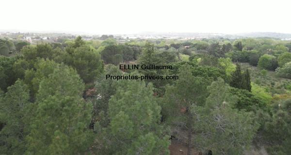 Maison mitoyenne 3 faces type mas