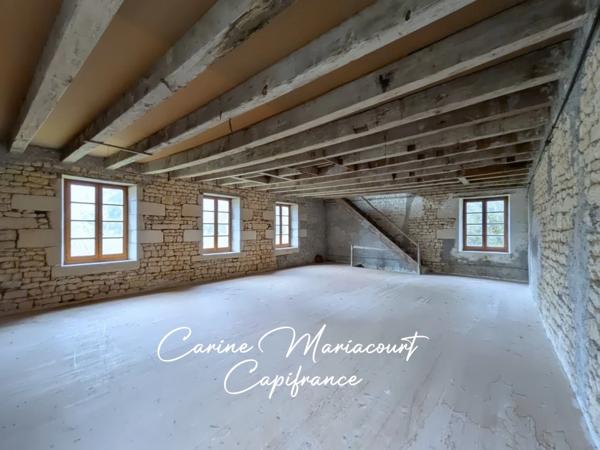 Coup de cœur assuré – ancien moulin + 4,4 ha de nature – énorme potentiel - SAINT MAIXENT L'ECOLE (79)