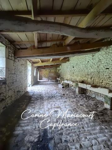 Coup de cœur assuré – ancien moulin + 4,4 ha de nature – énorme potentiel - SAINT MAIXENT L'ECOLE (79)