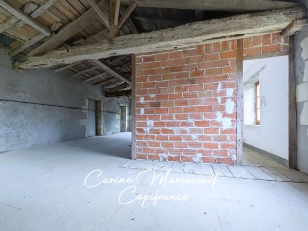 Coup de cœur assuré – ancien moulin + 4,4 ha de nature – énorme potentiel - SAINT MAIXENT L'ECOLE (79)