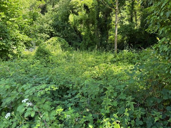 grande maison familiale 5 chambres