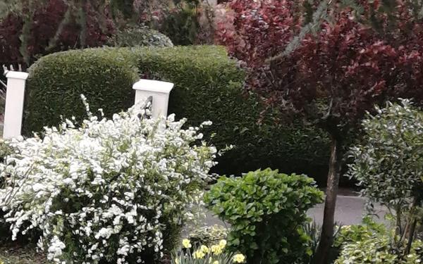 Maison à vendre    6 pièces • 180 m2 Mouguerre