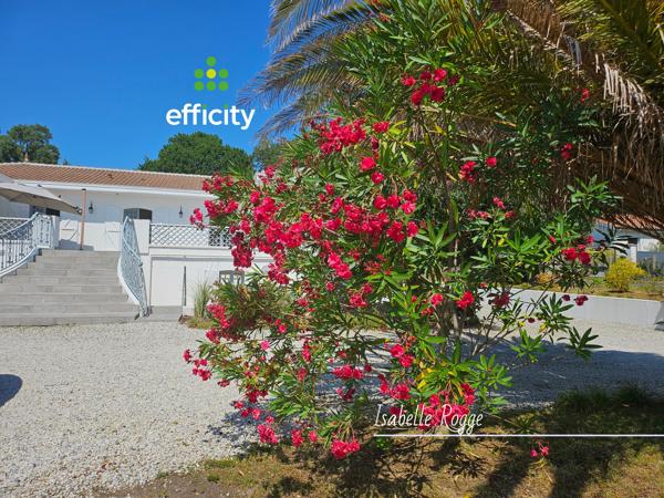 Appartement 7 pièces - 176 m²