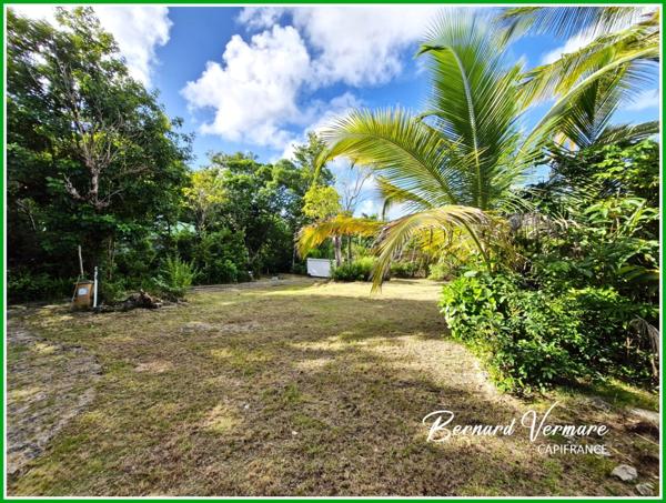 Maison à vendre 6 pièces SAINTE ANNE (971)
