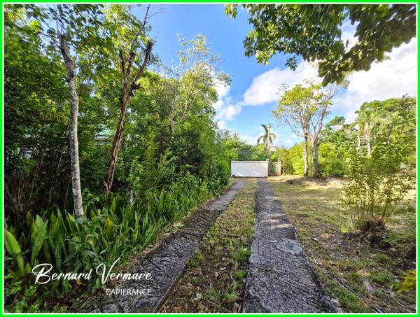 Maison à vendre 6 pièces SAINTE ANNE (971)