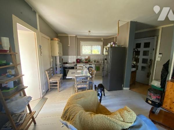 Amoureux de nature ! Maison de 2 appartements de 50m² env. terrain et dépendances pour animaux