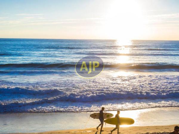 Vente appartement Lege Cap Ferret : 338 000 € - AJP ACTEA Talence