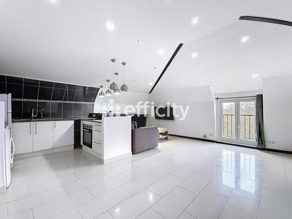 Appartement 2 pièces - 47 m² Exclusivité efficity