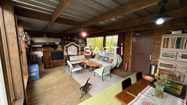 Complexe 3 chalets et local commercial