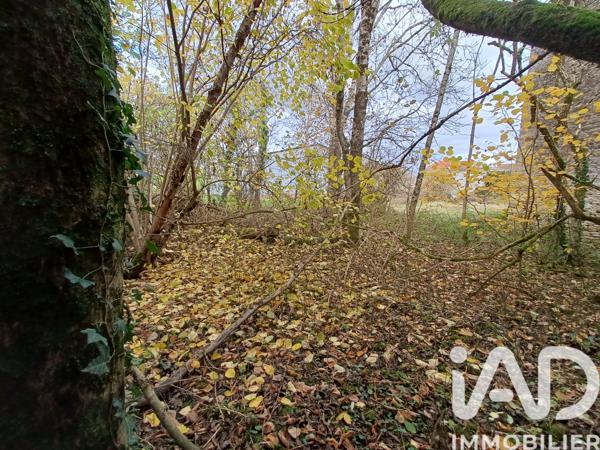 Maison à vendre 5 pièces 200 m² Ozières