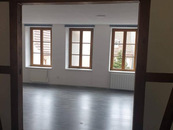 Location Appartement 4 pièces Sainte-Marie-aux-Mines (68160) - CV