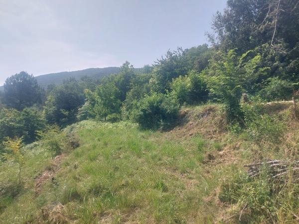 terrain constructible viabilisé avec permis