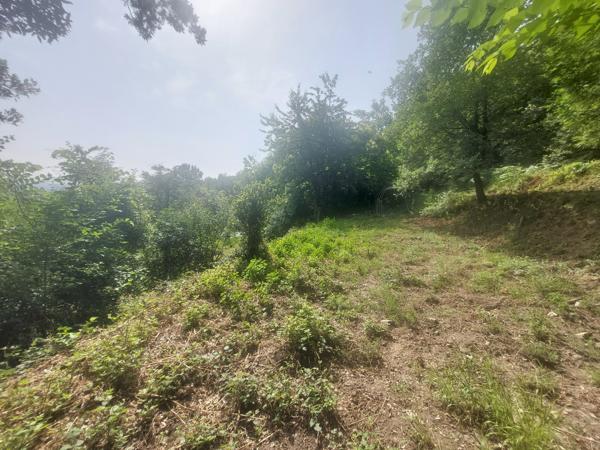 terrain constructible viabilisé avec permis