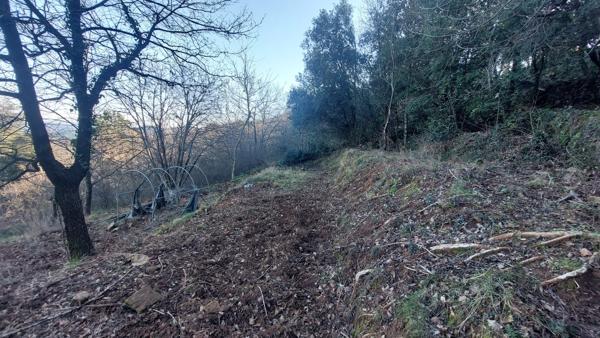 terrain constructible viabilisé avec permis