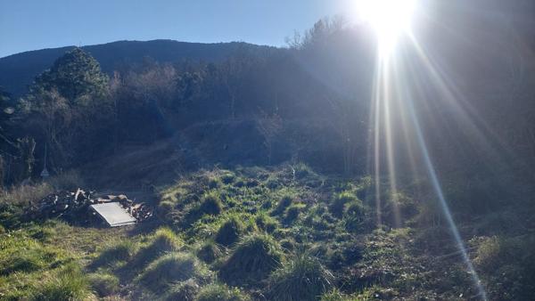 terrain constructible viabilisé avec permis