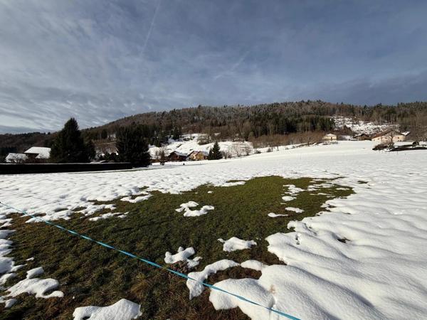 Terrain agricole à acheter – 3 678 m² – Constructibilité agricole – Viabilités à proximité – Habère-Poche (74)