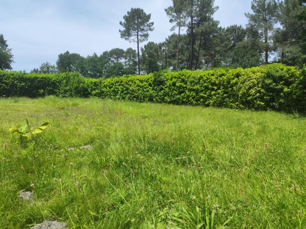 Le Porge (33680) Terrain constructible 465m²