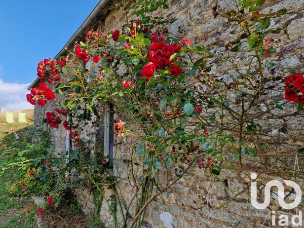 Maison à vendre 3 pièces 61 m² Laurenan