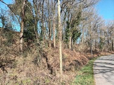 Terrain de loisirs - Bois - Etang à vendre à Saint-Fraimbault-de-Prières en Mayenne (53300), ref : 53075DLS23011 Terrain de loisirs - Bois - Etang à vendre à Saint-Fraimbault-de-Prières en Mayenne (53300), ref : 53075DLS23011 Terrain de loisirs - Bois - Etang à vendre à Saint-Fraimbault-de-Prières en Mayenne (53300), ref : 53075DLS23011