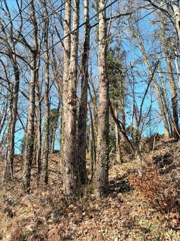 Terrain de loisirs - Bois - Etang à vendre à Saint-Fraimbault-de-Prières en Mayenne (53300), ref : 53075DLS23011 Terrain de loisirs - Bois - Etang à vendre à Saint-Fraimbault-de-Prières en Mayenne (53300), ref : 53075DLS23011 Terrain de loisirs - Bois - Etang à vendre à Saint-Fraimbault-de-Prières en Mayenne (53300), ref : 53075DLS23011