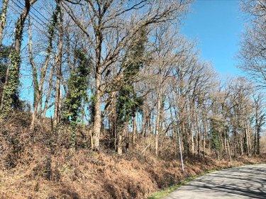 Terrain de loisirs - Bois - Etang à vendre à Saint-Fraimbault-de-Prières en Mayenne (53300), ref : 53075DLS23011 Terrain de loisirs - Bois - Etang à vendre à Saint-Fraimbault-de-Prières en Mayenne (53300), ref : 53075DLS23011 Terrain de loisirs - Bois - Etang à vendre à Saint-Fraimbault-de-Prières en Mayenne (53300), ref : 53075DLS23011