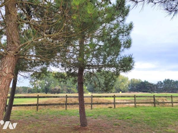 Appartement 37m² SABLES D'OR LES PINS