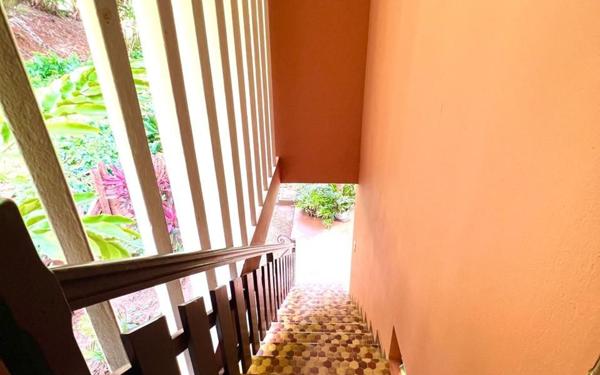 Maison à vendre    4 pièces •  Cayenne