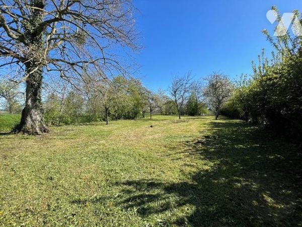 MAISON AVEC CONFORT DU PLAIN-PIED SUR SOUS-SOL COMPLET
TERRAIN D'ENVIRON 7 000 m²
A VENDRE A ...